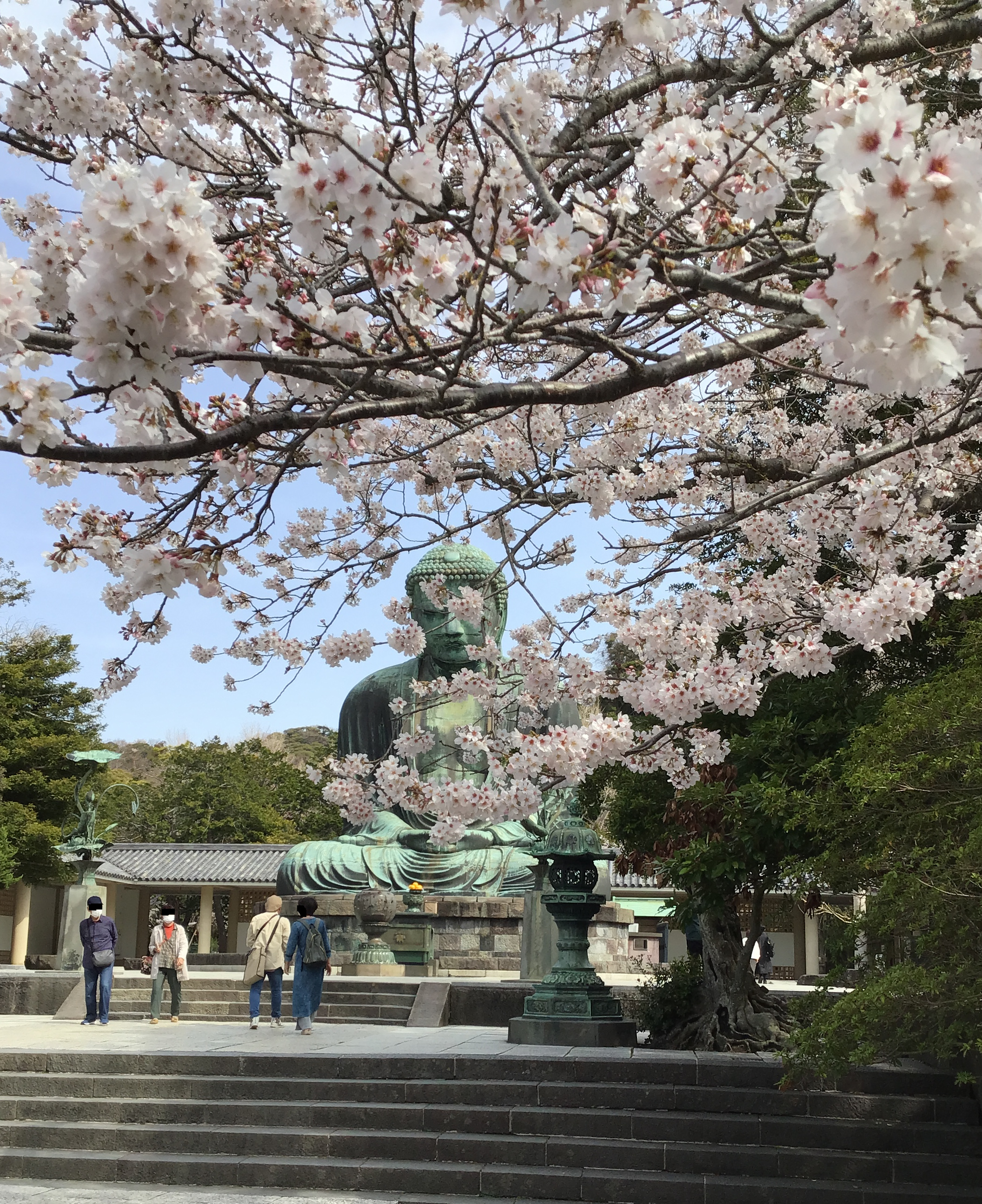 The giant buddha statue behind a shroud of flowers