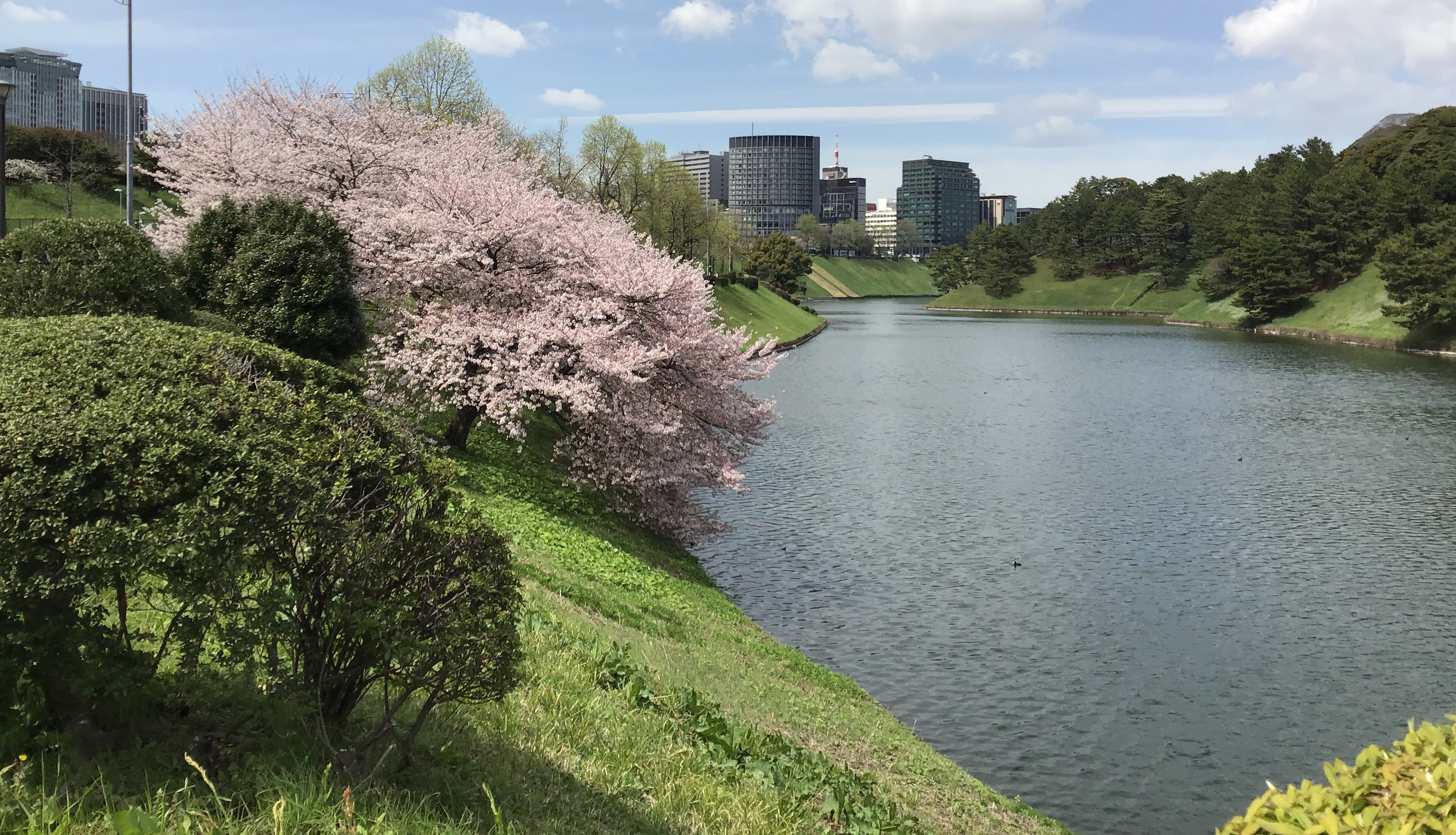 The lake around the palace